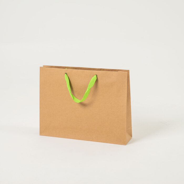 CRAFT PAPER BAG (WXGUSSETXH) 42X10X32CM BEIGE-GREEN L - Image 1